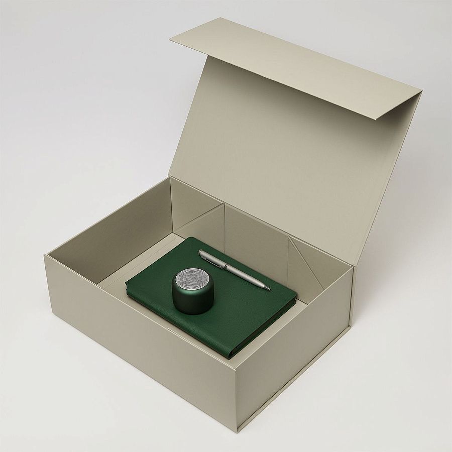 Подарочный набор Пэшн, Молто (Passion, Molto), зеленый (колонка, ежедневник, ручка)