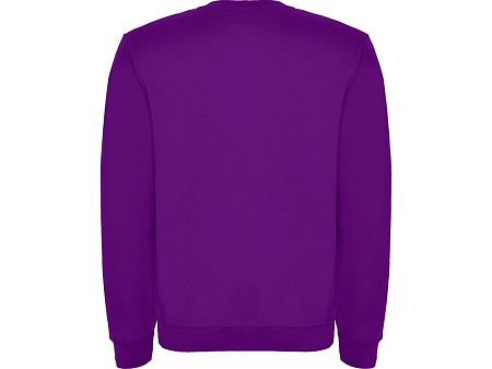 Свитшот с начесом «Clasica» детский